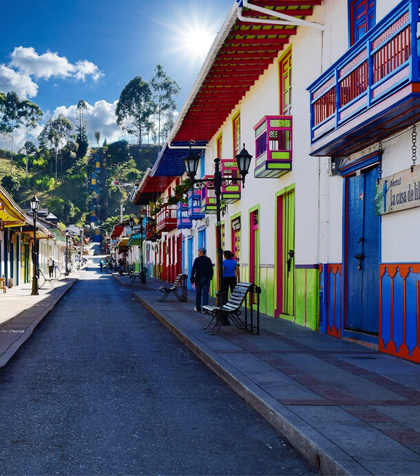 Palmeras de cera en el Valle de Cocora, cerca de Salento.