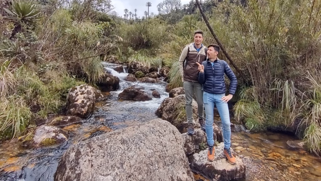 On the trail toward the Penas Blancas viewpoint in Chingaza
