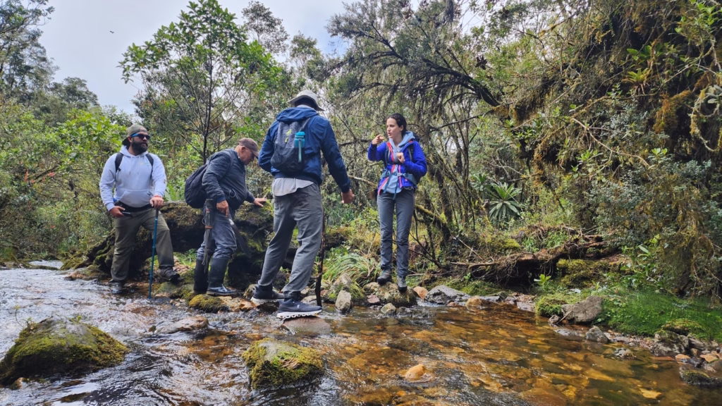 Hikers crossing an Andean stream in the Chingaza reserve