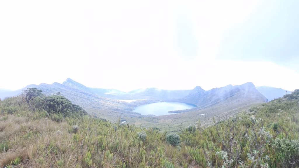 The paramo landscape of the Ecopalacio Chingaza reserve on the guided hike