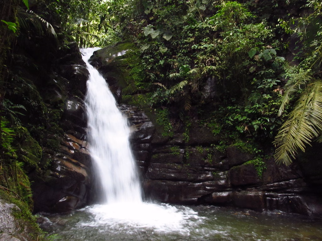 La cascada de Santa Rita cayendo a través del bosque de niebla cerca de Salento
