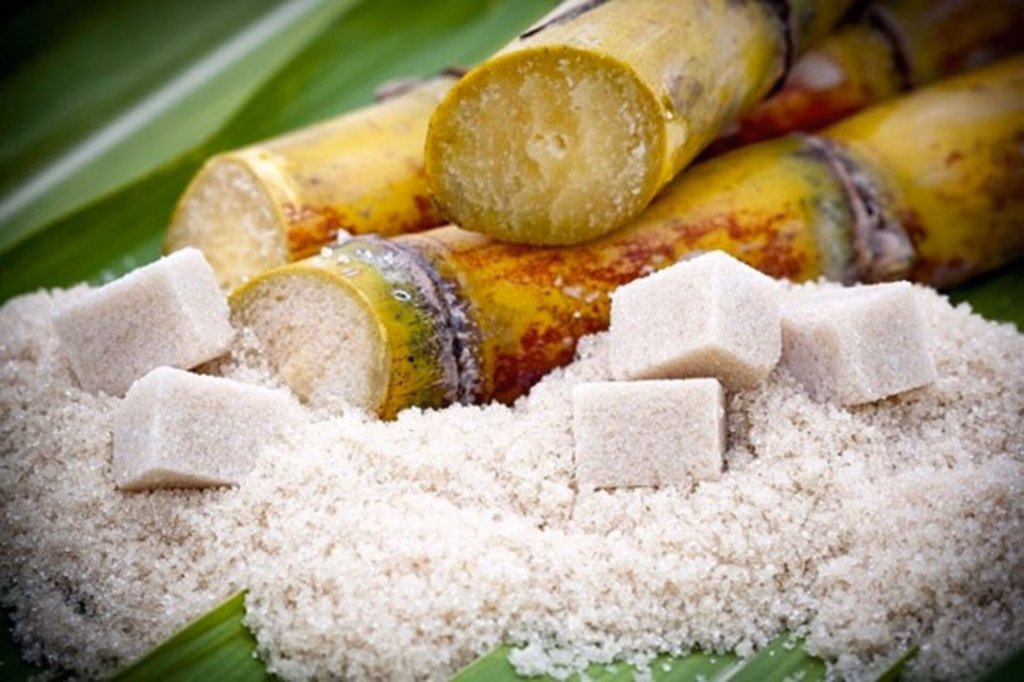 Blocks of panela, the unrefined cane sugar made across the Cauca Valley