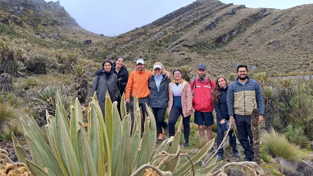 A hiking group standing among giant frailejones in Sumapaz