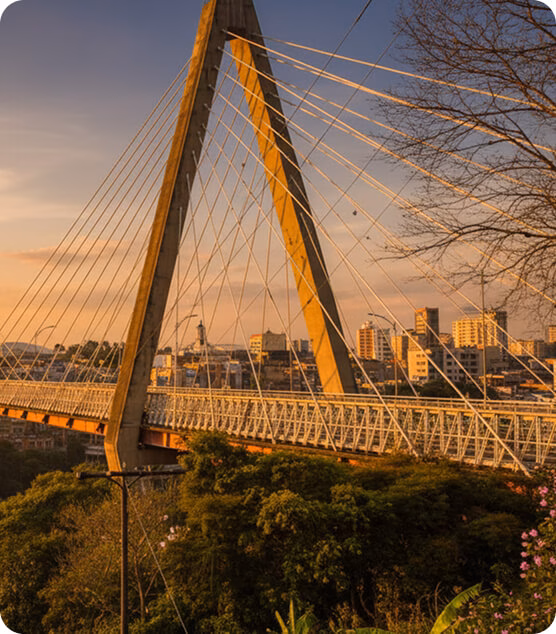 Pereira cable-stayed bridge at sunset, with the city and greenery in the background.