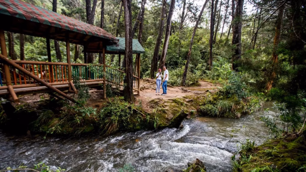 Two visitors on a forest path beside a stream and a wooden building in Arví Park