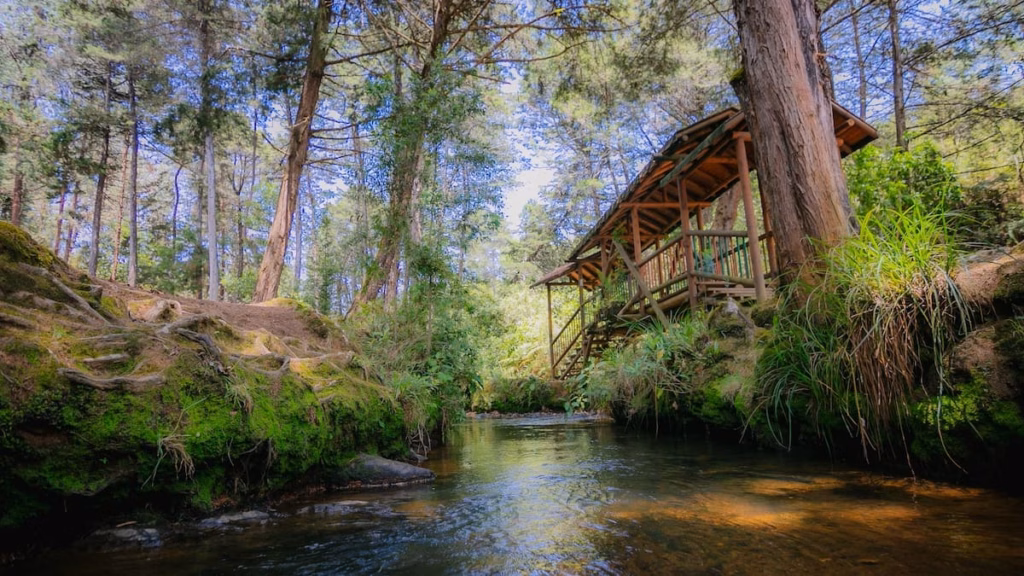 Pasarela de madera y refugio sobre un arroyo rocoso y cristalino en el bosque del Parque Arví